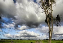 以珠海赛亚军结束2023赛季 郑钦文世界排名升至第15创职业新高北京青年报.