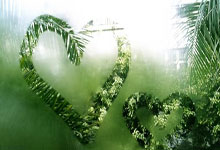 夺复出后个人首冠！瑞士赛女单决赛：陈雨菲2-0胜克亚尔斯菲尔德.