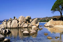 九游会官网：汤普森第10次完成单赛季投进200+三分，NBA历史中仅次于库里.